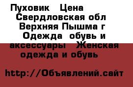 Пуховик › Цена ­ 1 500 - Свердловская обл., Верхняя Пышма г. Одежда, обувь и аксессуары » Женская одежда и обувь   